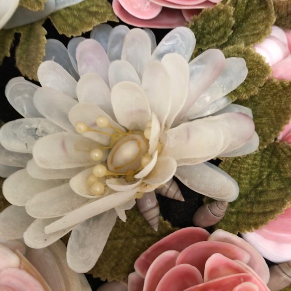 Meet your Posher, Gloria - Picture 1 of 1